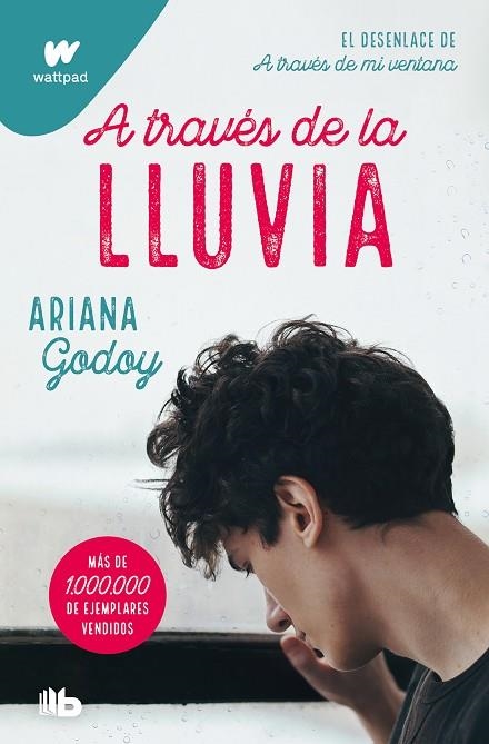 A través de la lluvia | 9788413147994 | ARIANA GODOY