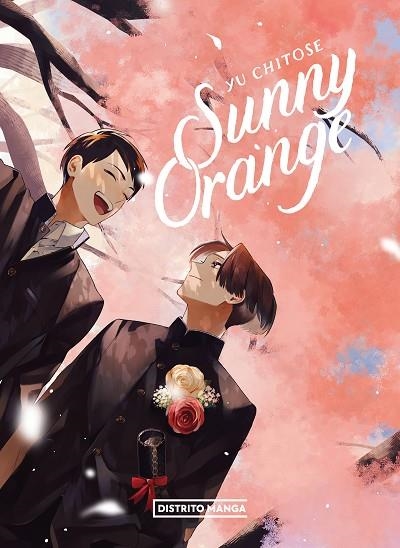 Sunny Orange | 9788419412607 | YU CHITOSE