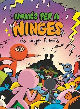 NOMES PER A NINGES 05 ELS NINGES BAIXETS | 9788466154307 | PUÑO