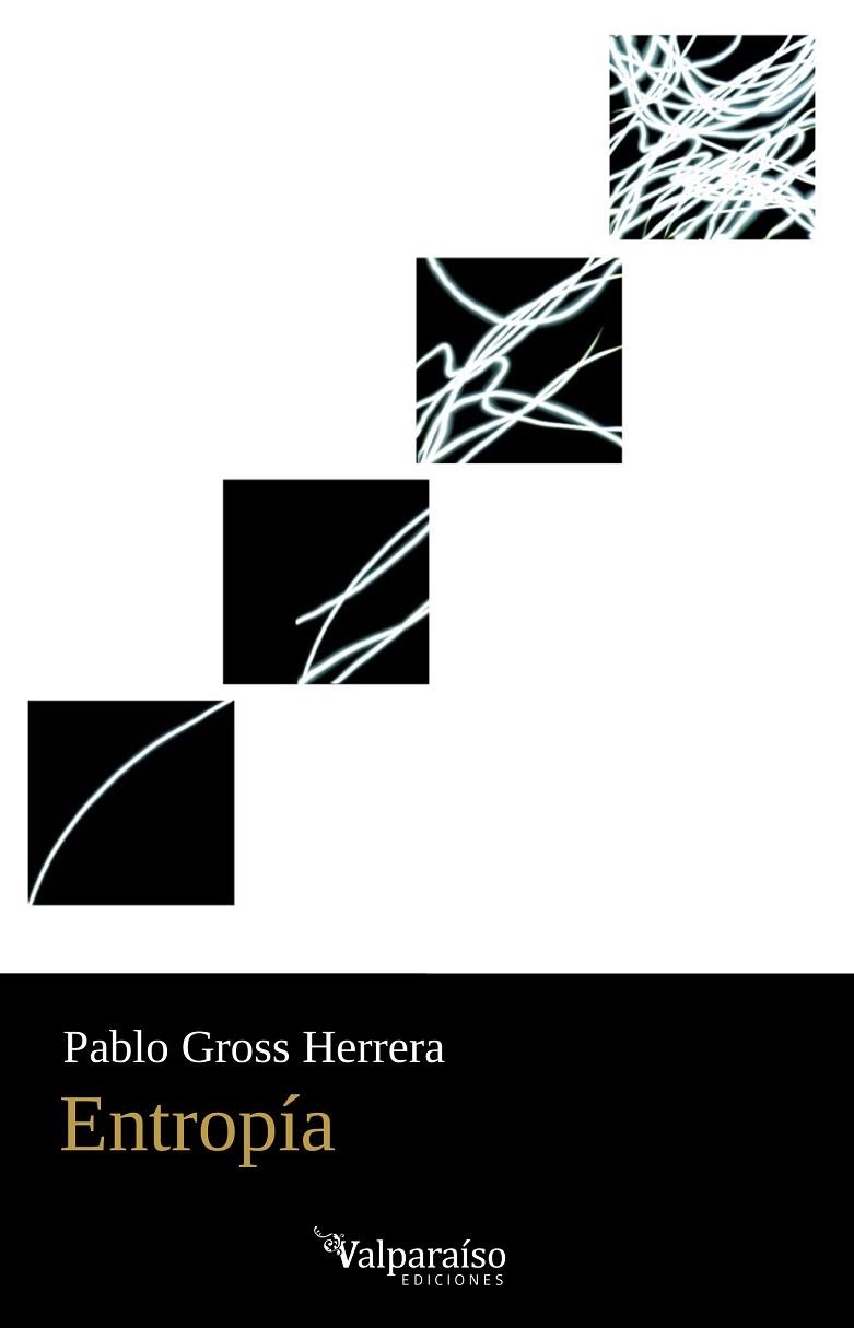 ENTROPÍA | 9788419347664 | PABLO GROSS HERRERA