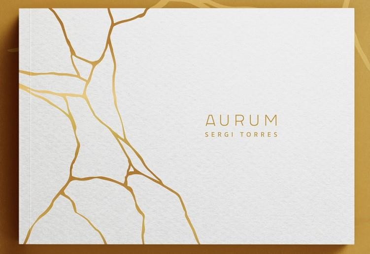 AURUM | 9788409480173 | SERGI TORRES BALDÓ