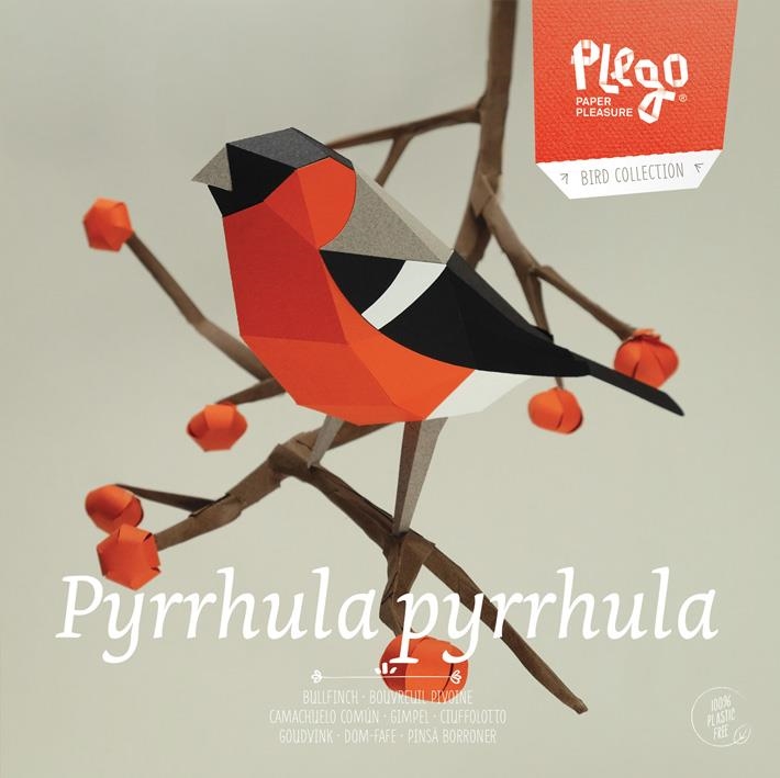 PLEGO PYRRHULA PYRRHULA | 8436043721404 | PLEGO