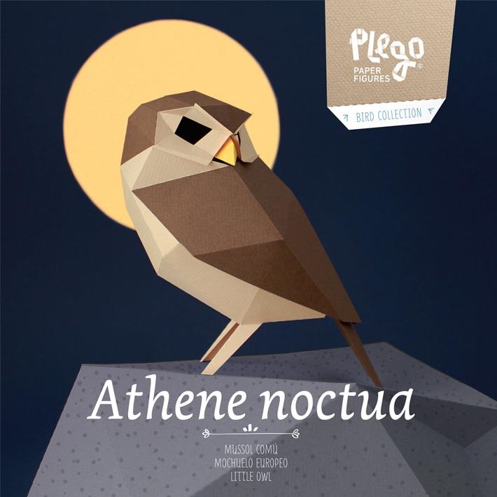 PLEGO ATHENE NOCTUA | 8436043721886 | PLEGO