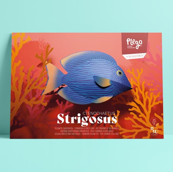 PLEGO STRIGOSUS | 8436043728106 | PLEGO