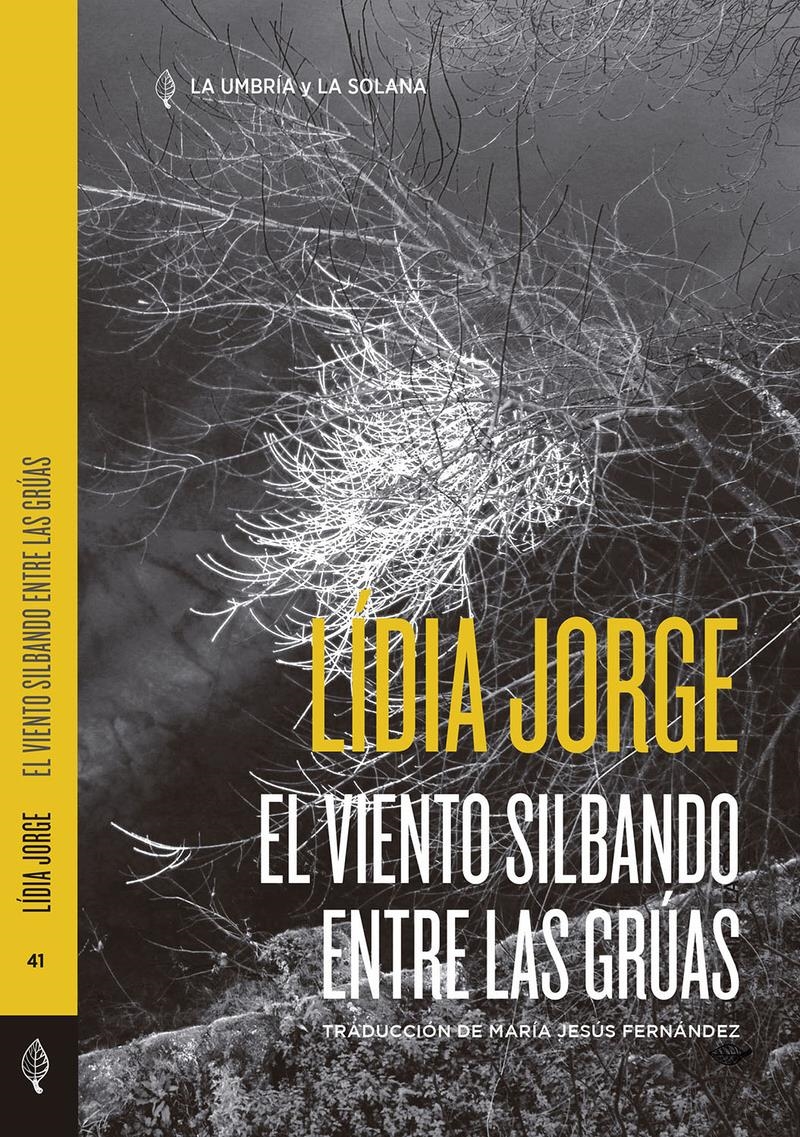 EL VIENTO SILBANDO ENTRE LAS GRÚAS | 9788412624809 | LIDIA JORGE