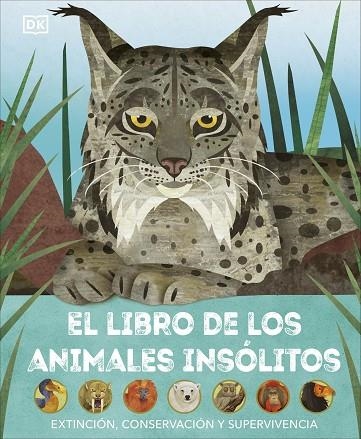 El libro de los animales insólitos | 9780241637692 | DK