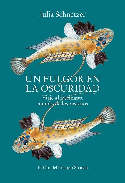 Un fulgor en la oscuridad | 9788419553119 | Julia Schnetzer