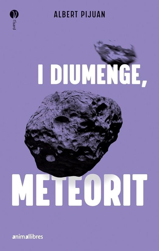 I DIUMENGE METEORIT | 9788419659415 | ALBERT PIJUAN