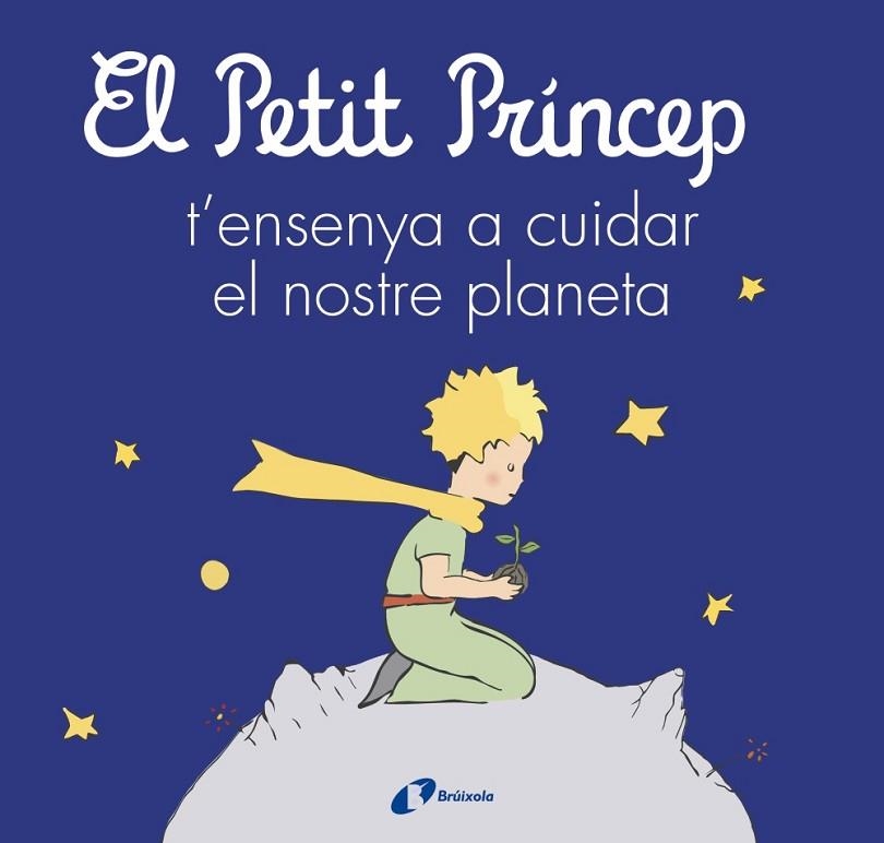 EL PETIT PRÍNCEP T'ENSENYA A CUIDAR EL NOSTRE PLANETA | 9788413493046 | VVAA