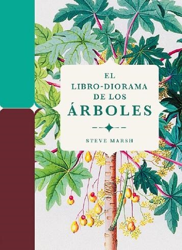 EL LIBRO-DIORAMA DE LOS ÁRBOLES | 9788412386196 | Steve Marsh