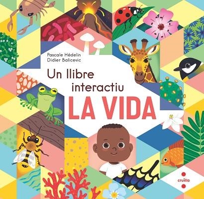 UN LLIBRE INTERACTIU LA VIDA | 9788466154864 | PASCALE HÉDELIN