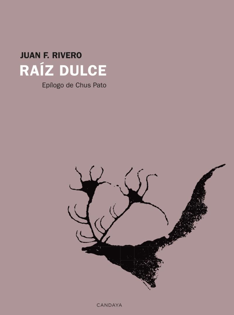 Raiz dulce | 9788418504662 | JUAN F. RIVERO