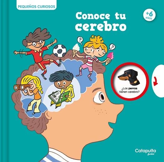 Pequeños curiosos Conoce tu cerebro | 9788419987099 | Olivier Houde & Gregoire Borst