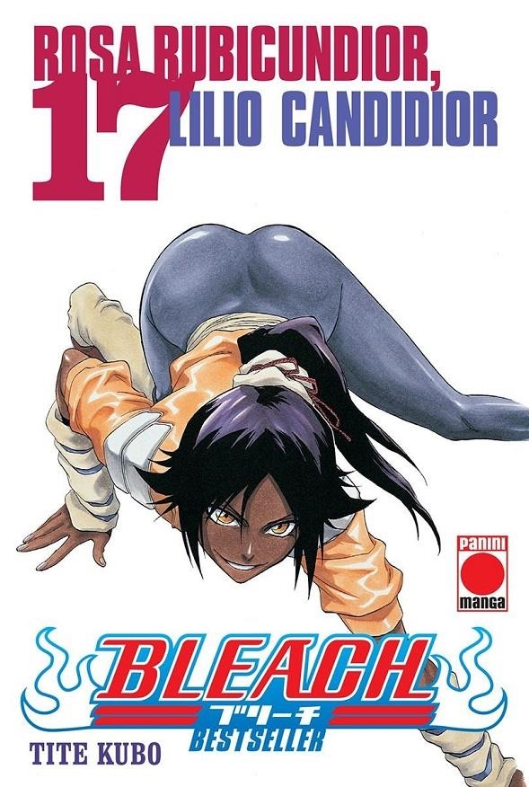 BLEACH BESTSELLER 17 | 9788410510067 | TITE KUBO