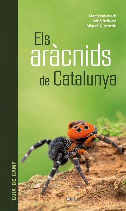 ELS ARÀCNIDS DE CATALUNYA | 9788418096686 | VV.AA.