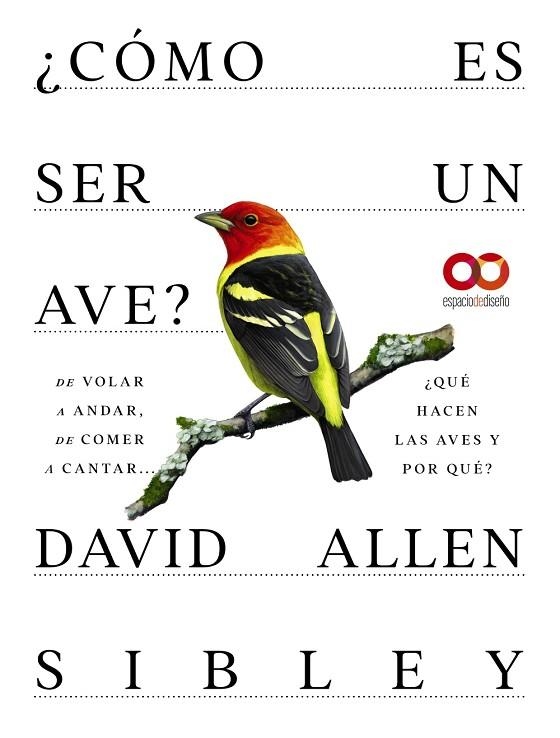 CÓMO ES SER UN AVE? DE VOLAR A ANIDAR, DE COMER A CANTAR... ¿QUÉ HACEN LAS AVES | 9788441549050 | DAVID ALLEN SIBLEY