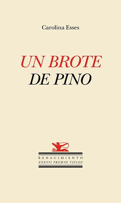 Un brote de pino | 9788410148437 | CAROLINA ESSES