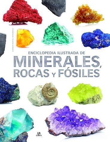 ENCICLOPEDIA ILUSTRADA DE MINERALES, ROCAS Y FÓSILES | 9788466238991 | CARMEN MARTUL HERNÁNDEZ