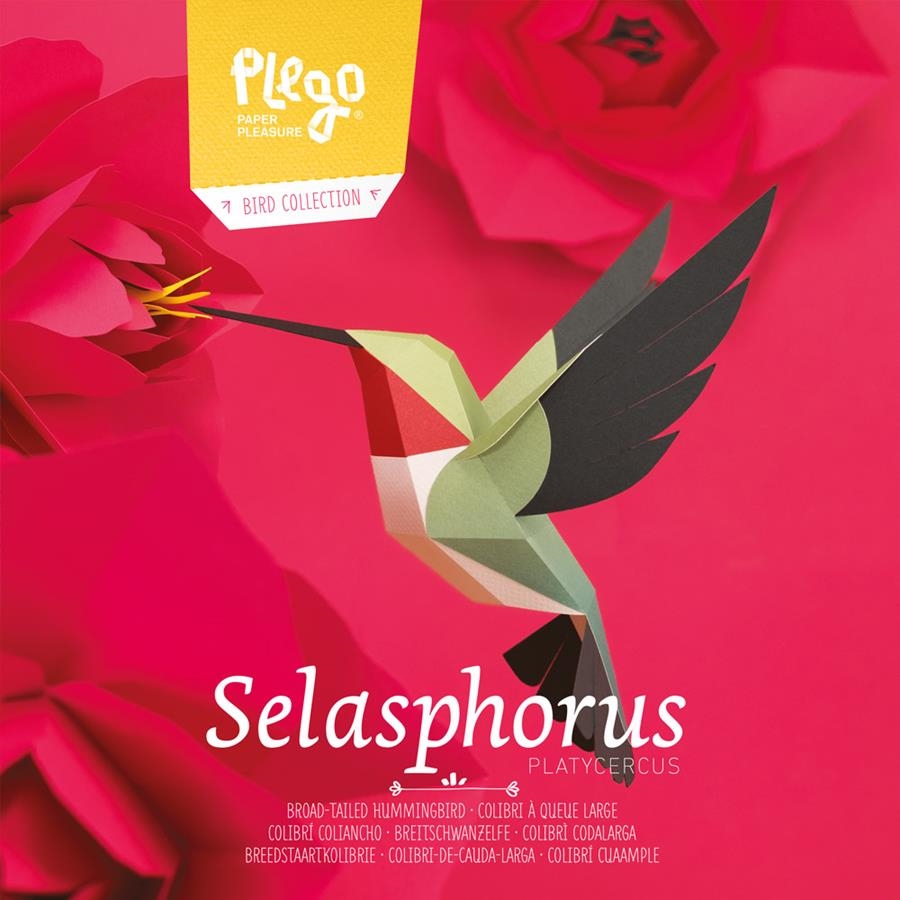 PLEGO SELASPHORUS PLATYCERCUS | 8436043720193 | PLEGO