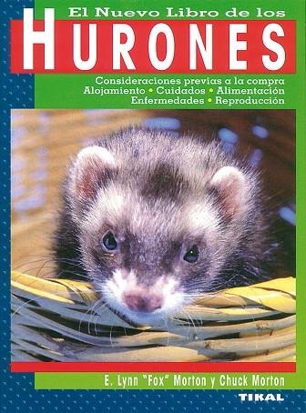 HURONES EL NUEVO LIBRO | 9788430597567 | MORTON, CHUCK