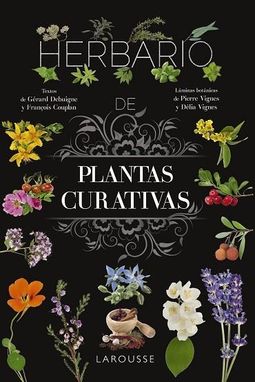 HERBARIO DE PLANTAS CURATIVAS | 9788410124110 | PIERRE VIGNES & DELIA VIGNES