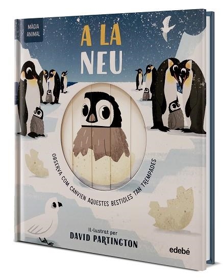 MAGIA ANIMAL A LA NEU | 9788468372150 | NEIL CLARK & HARRIET STONE