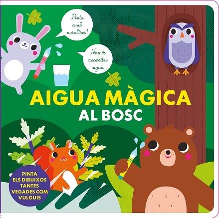 AIGUA MAGICA AL BOSC | 9788412826562 | STUDIO IMAGEBOOKS