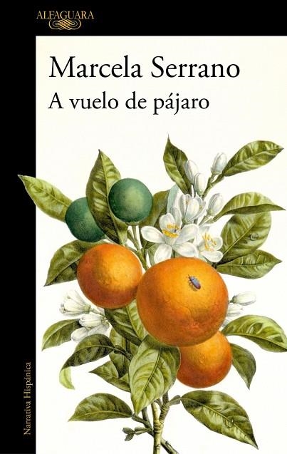 A VUELO DE PAJARO | 9788420477978 | MARCELA SERRANO