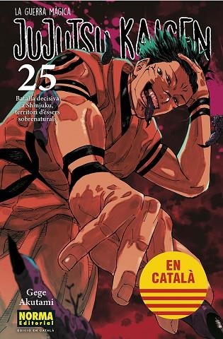 JUJUTSU KAISEN 25 | 9788467969979 | GEGE AKUTAMI