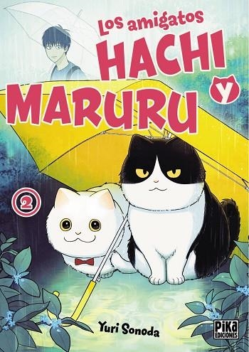 LOS AMIGATOS HACHI Y MARURU 02 | 9782811699222 | YURI SONODA