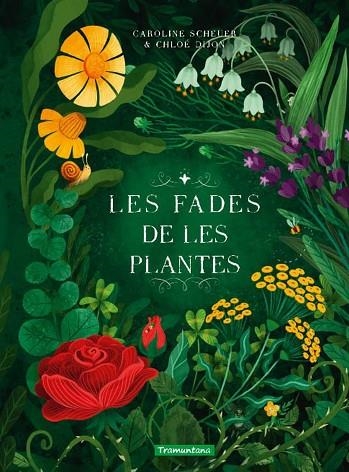 Les fades de les plantes | 9788419829313 | CAROLINE SCHEUER