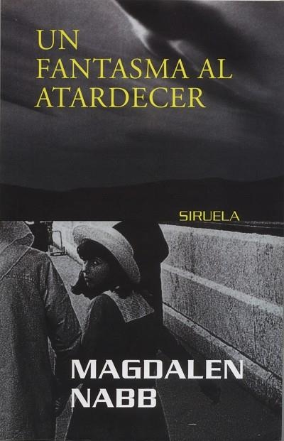 UN FANTASMA AL ATARDECER (RUSTEGA) | 9788478445554 | MAGDALEN NABB