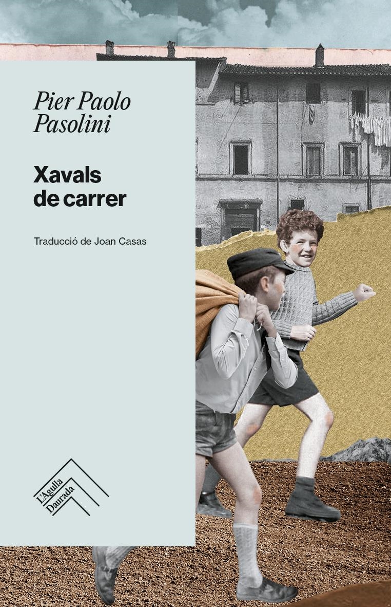 Xavals de carrer | 9788419515254 | PIER PAOLO PASOLINI