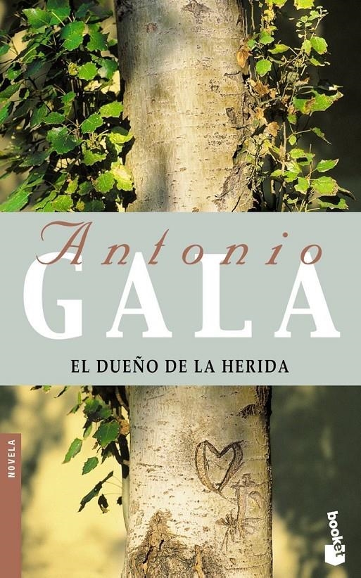 EL DUEÑO DE LA HERIDA | 9788408052159 | GALA, ANTONIO