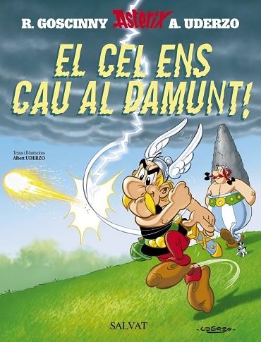 EL CEL ENS CAU AL DAMUNT! | 9788434504073 | GOSCINNY & UDERZO