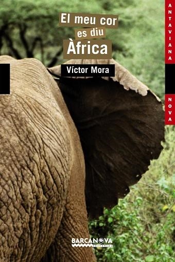 EL MEU COR ES DIU AFRICA | 9788448919160 | MORA, VICTOR