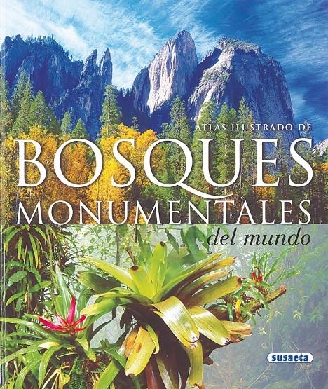 BOSQUES MONUMENTALES DEL MUNDO | 9788430560882 | VV.AA