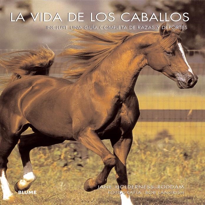 VIDA DE LOS CABALLOS, LA | 9788480768214 | HOLDERNESS-RODDAM/LANGRISH