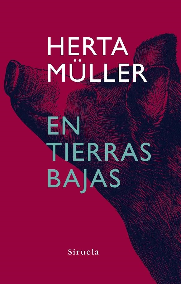 EN TIERRAS BAJAS | 9788498410921 | MULLER, HERTA