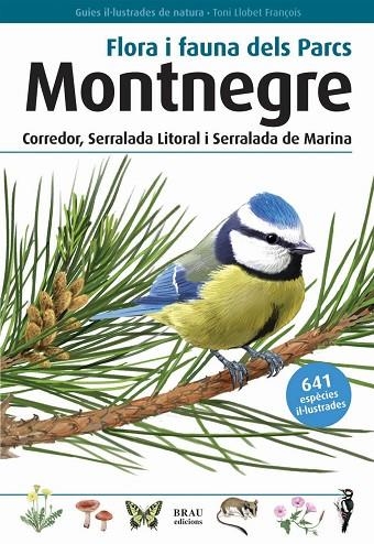 FLORA I FAUNA DEL PARC NATURAL MONTNEGRE | 9788496905405 | LLOBET FRANÇOIS, TONI