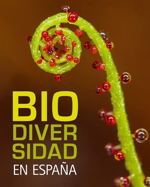 BIODIVERSIDAD EN ESPAÑA | 9788497856317 | AA. VV.