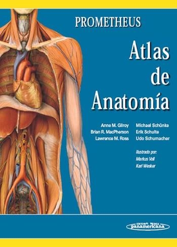 PROMETHEUS. ATLAS DE ANATOMIA | 9788479036003 | VVAA