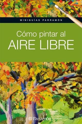 COMO PINTAR AL AIRE LIBRE | 9788434237162 | PARRAMON, EQUIPO/MARTÍN ROIG, GABRIEL