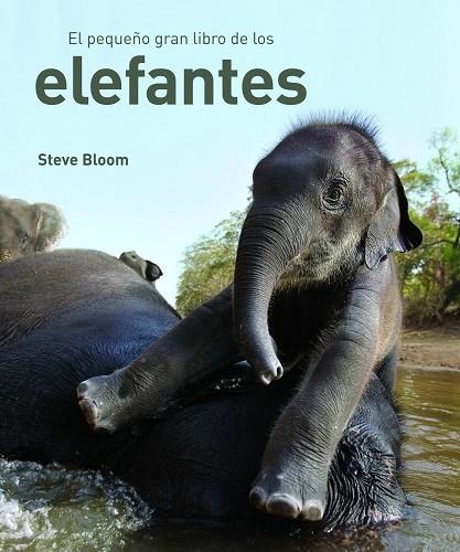 EL PEQUEÑO GRAN LIBRO DE LOS ELEFANTES | 9788497543057 | BLOOM, STEVE