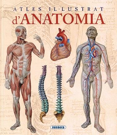 ATLES IL.LUSTRAT D' ANATOMIA | 9788467702101 | RIGUTTI, ADRIANA